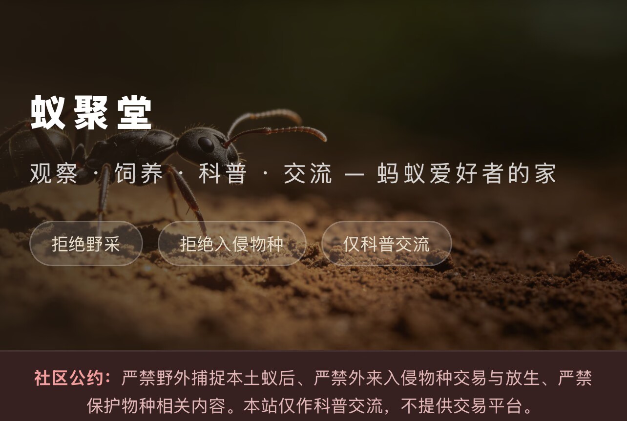 蚁友茶话